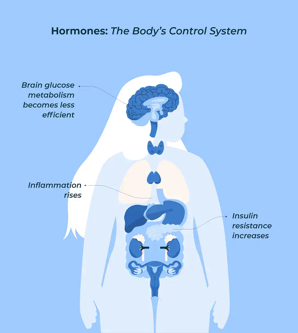 698ef0c84b11645c93c51f99_Hormones are master regulators of female aging